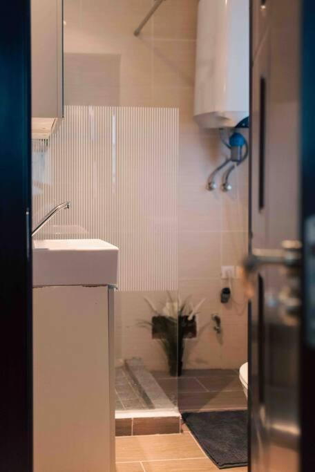 Cozy Studio In The Heart Of Bucharest Διαμέρισμα Εξωτερικό φωτογραφία